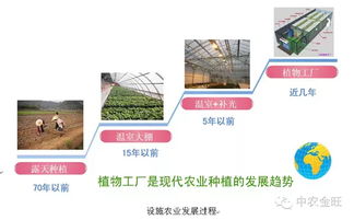 植物工廠 現代農業的投資新寵與投資管理策略